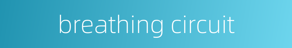 breathing circuit的同义词
