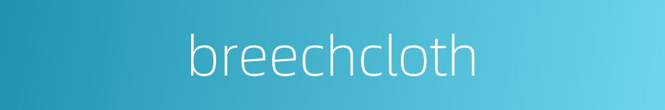 breechcloth的同义词