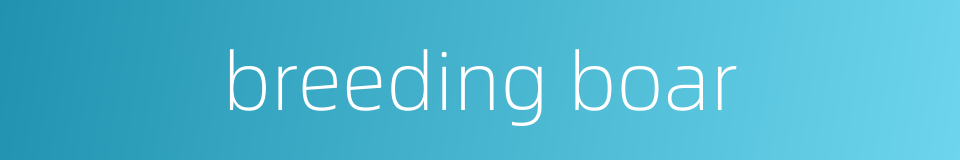 breeding boar的同义词