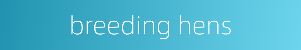 breeding hens的同义词
