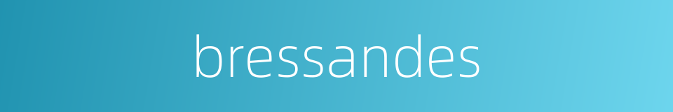bressandes的同义词