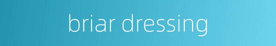 briar dressing的同义词