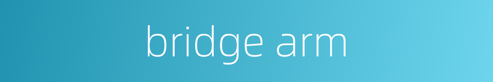 bridge arm的同义词