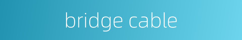 bridge cable的同义词