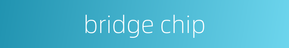 bridge chip的同义词