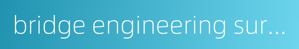 bridge engineering survey的同义词