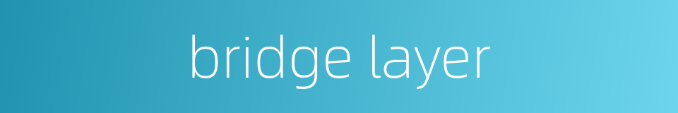 bridge layer的同义词