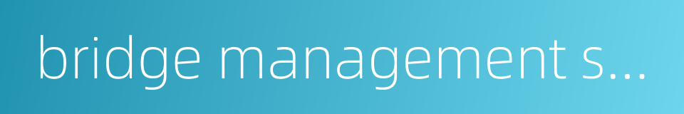 bridge management system的同义词