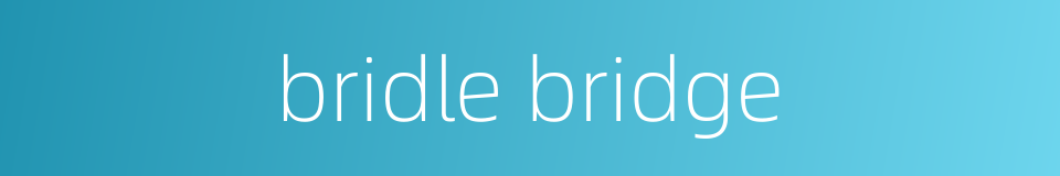 bridle bridge的同义词