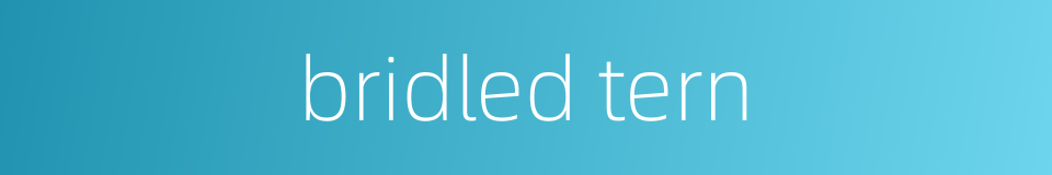 bridled tern的同义词