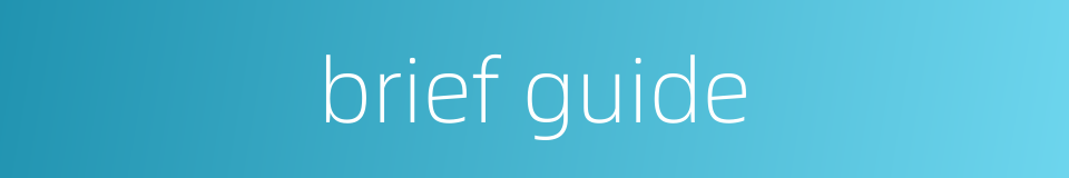 brief guide的同义词