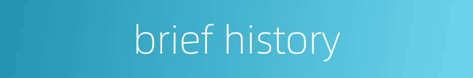 brief history的同义词
