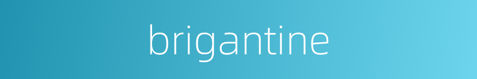 brigantine的同义词