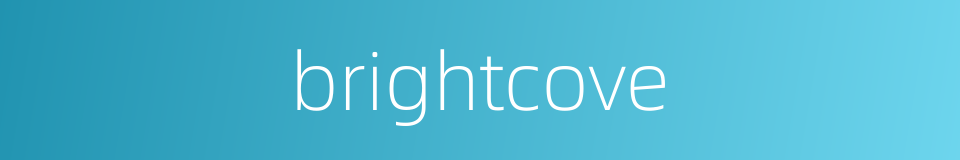 brightcove的同义词