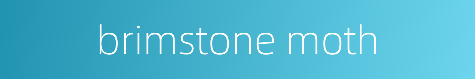 brimstone moth的同义词