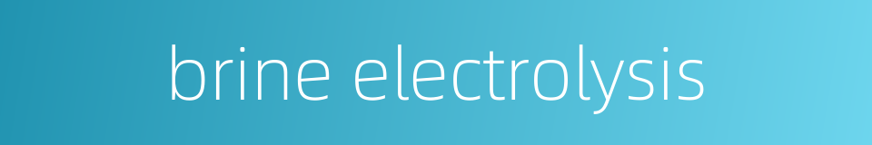 brine electrolysis的同义词