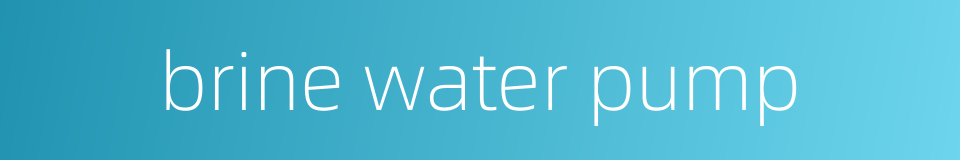 brine water pump的同义词