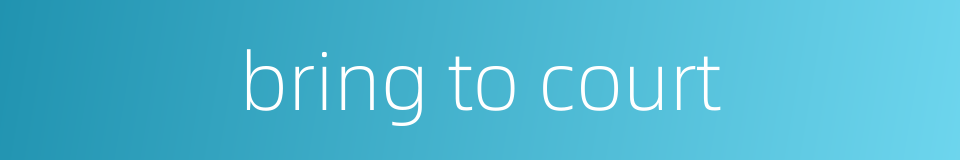 bring to court的同义词