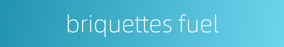 briquettes fuel的同义词
