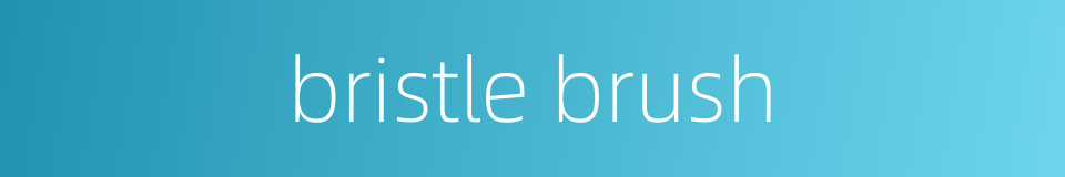 bristle brush的同义词