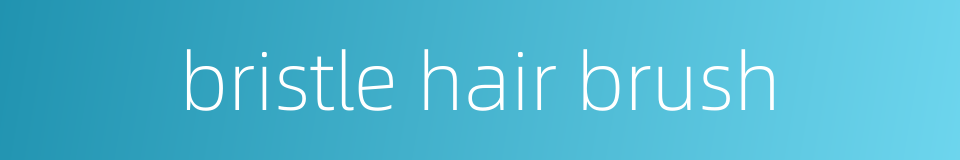 bristle hair brush的同义词