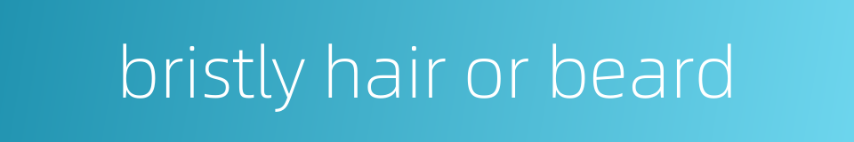 bristly hair or beard的同义词