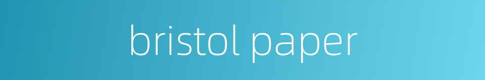 bristol paper的同义词
