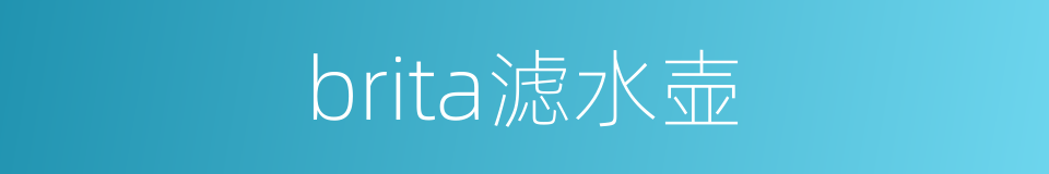 brita滤水壶的同义词