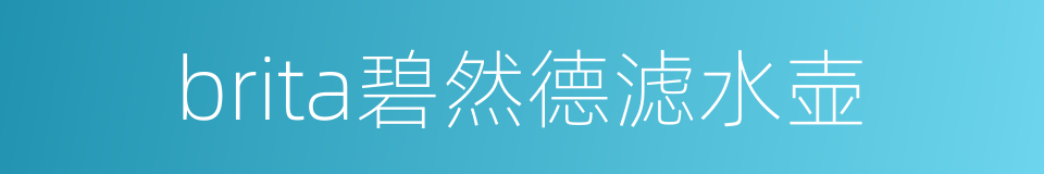 brita碧然德滤水壶的同义词