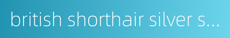 british shorthair silver shaded cat的同义词