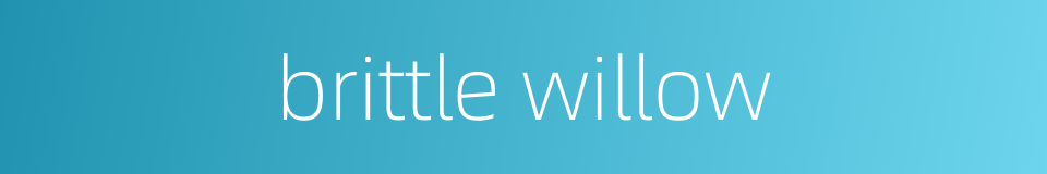 brittle willow的同义词