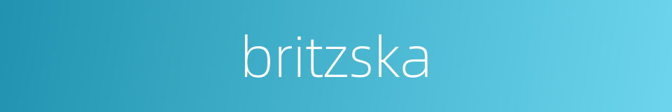 britzska的同义词