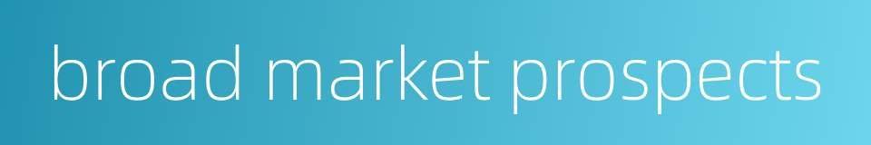 broad market prospects的同义词
