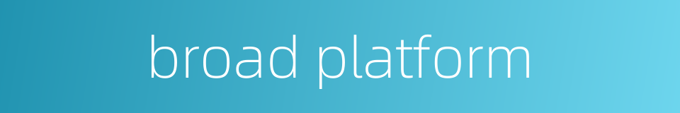broad platform的同义词