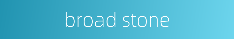 broad stone的同义词