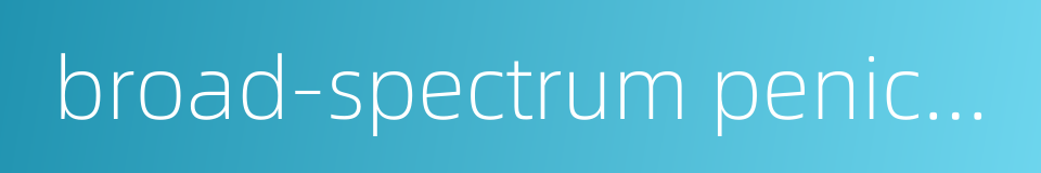 broad-spectrum penicillins的同义词