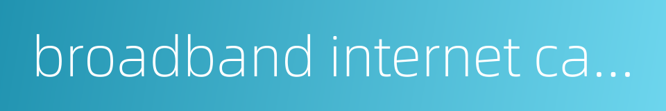 broadband internet cable的同义词