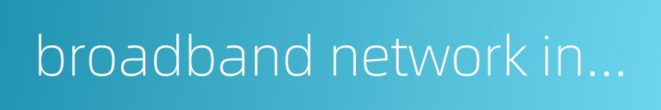 broadband network interface的同义词