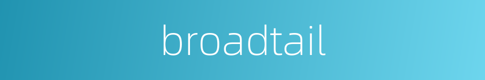 broadtail的同义词