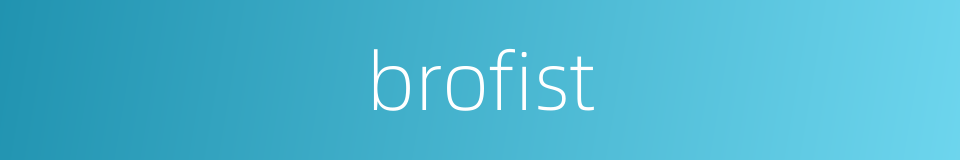 brofist的同义词