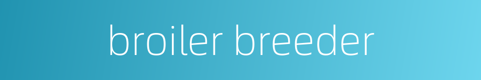 broiler breeder的同义词