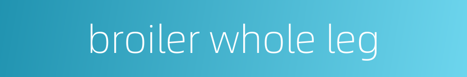 broiler whole leg的同义词