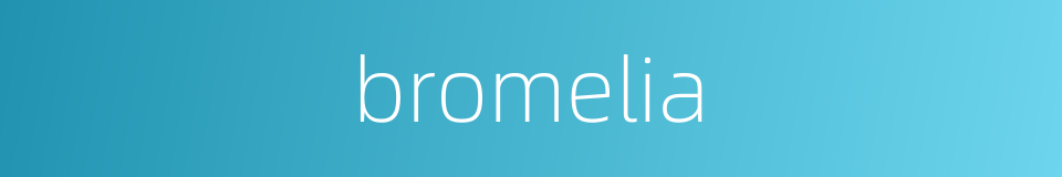bromelia的同义词
