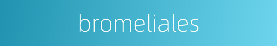 bromeliales的同义词