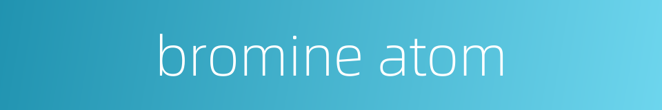 bromine atom的同义词