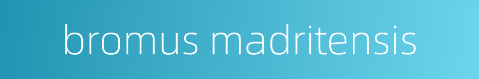 bromus madritensis的同义词