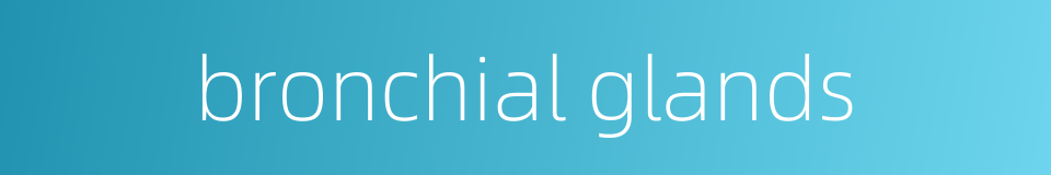 bronchial glands的同义词