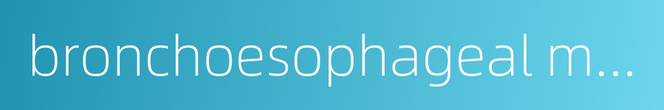 bronchoesophageal muscle的同义词