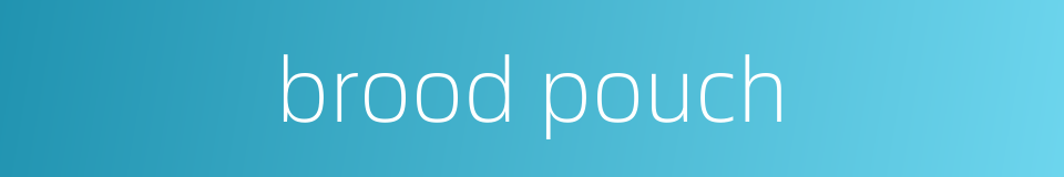 brood pouch的同义词