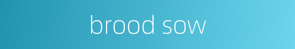 brood sow的同义词